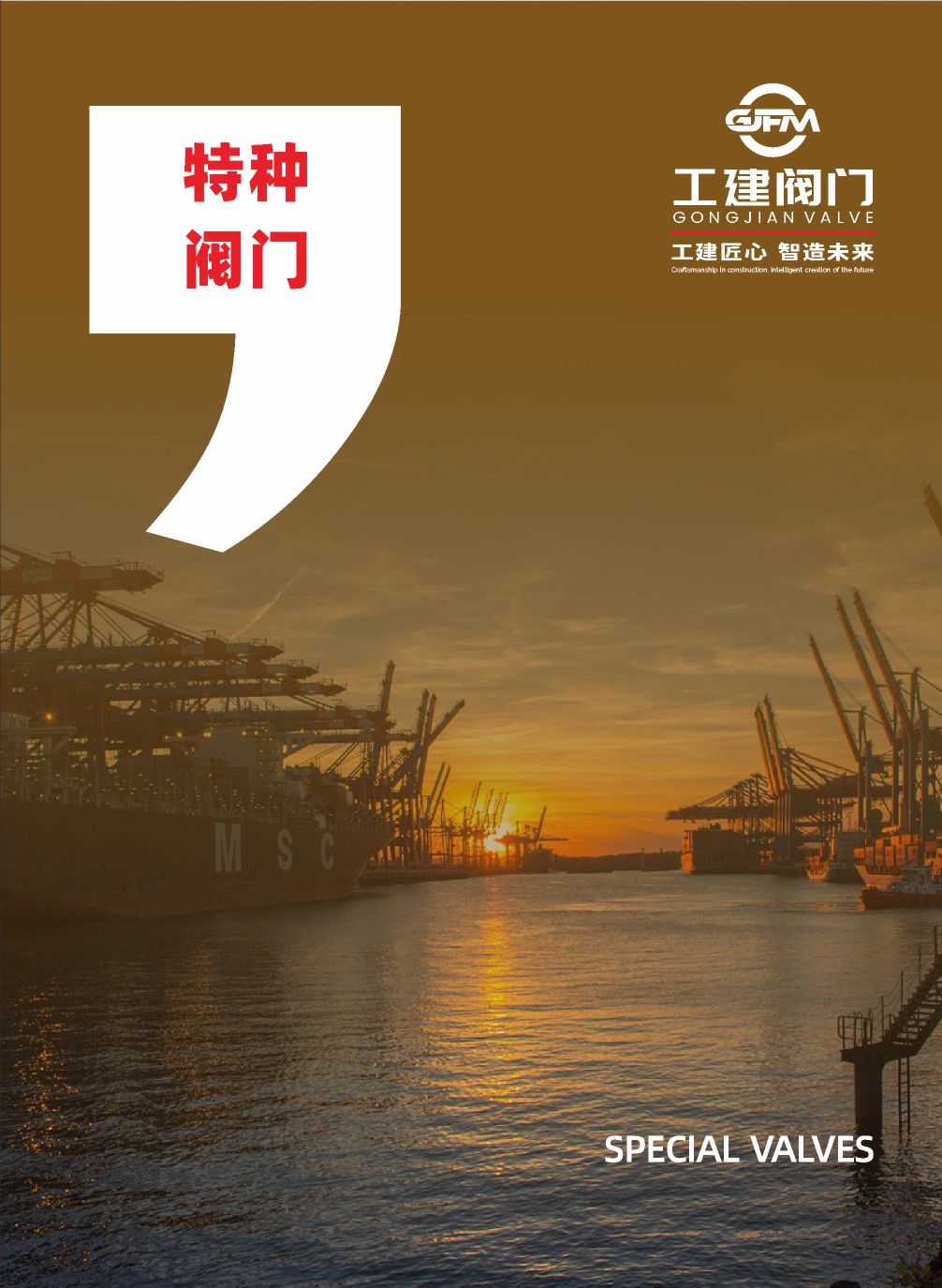 特种阀门